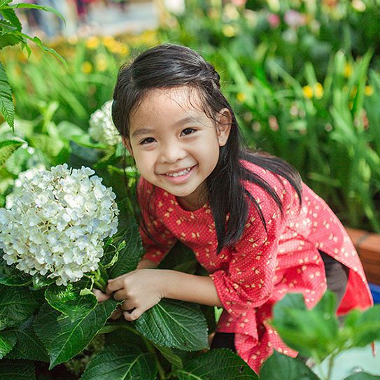 - Young Dentistry for Children