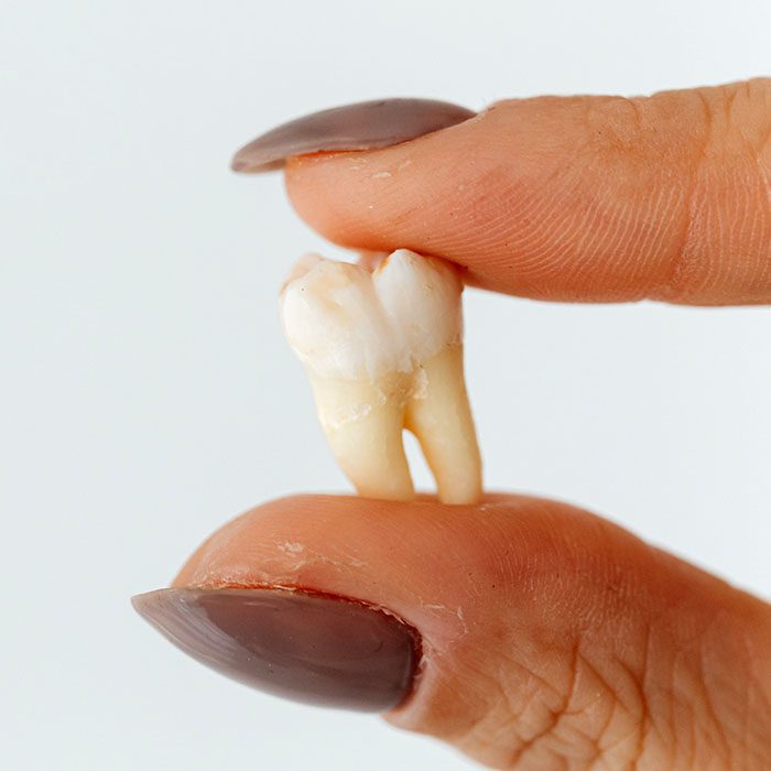 - Young Dentistry for Children